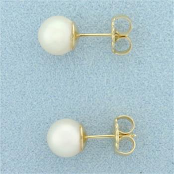 7mm Cultured Akoya Pearl Stud Earrings in 14k Yellow Gold