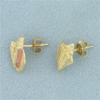 Enamel Conch Shell Earrings in 14k Yellow Gold