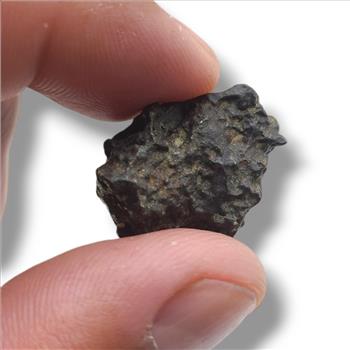 Stony Meteorites: Algeria's Celestial Stone of the Stars