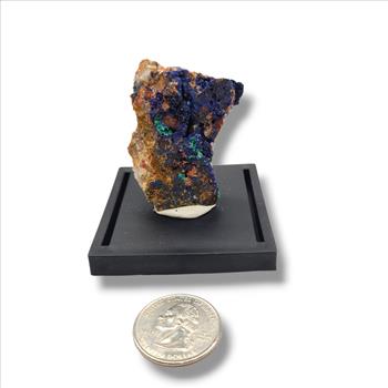 Azurite and Malachite Specimen on Quartz in Display Case