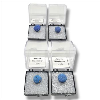 Azurite Blueberry Utah - Captivating Mineral Spheres in Perky Boxes