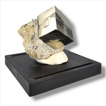 Cubic Pyrite on Matrix from Navajun, La Rioja, Spain