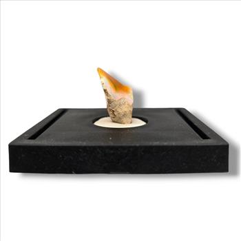 Delicate Ethiopian Opal from Ethiopia