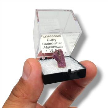 Fluorescent Ruby from Badakhshan - Afghan Gems in Display Cases