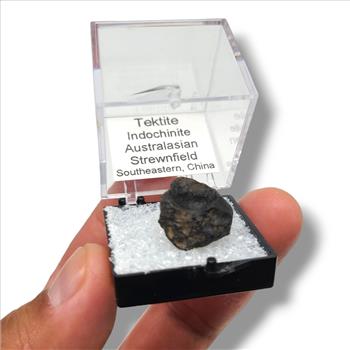 Tektite from Indochinite Australasian Strewnfield - Chinese Specimens in Perky Boxes