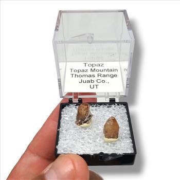 Topaz from Topaz Mountain, Utah - Dazzling Specimens in Perky Box Display