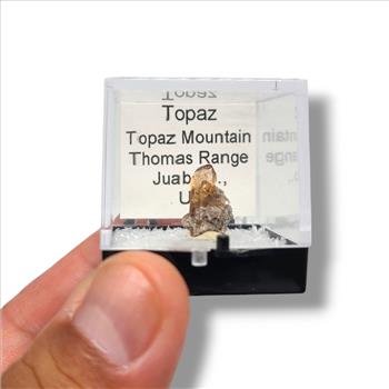Topaz from Topaz Mountain, Utah - Dazzling Specimens in Perky Box Display