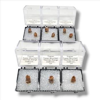 Topaz from Topaz Mountain, Utah - Dazzling Specimens in Perky Box Display
