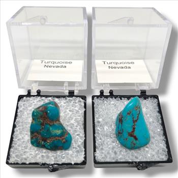 Turquoise Nevada - Authentic Gemstone Varieties in Perky Boxes