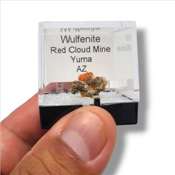 Wulfenite Red Cloud Mine - Diverse Arizona Specimens in Perky Boxes