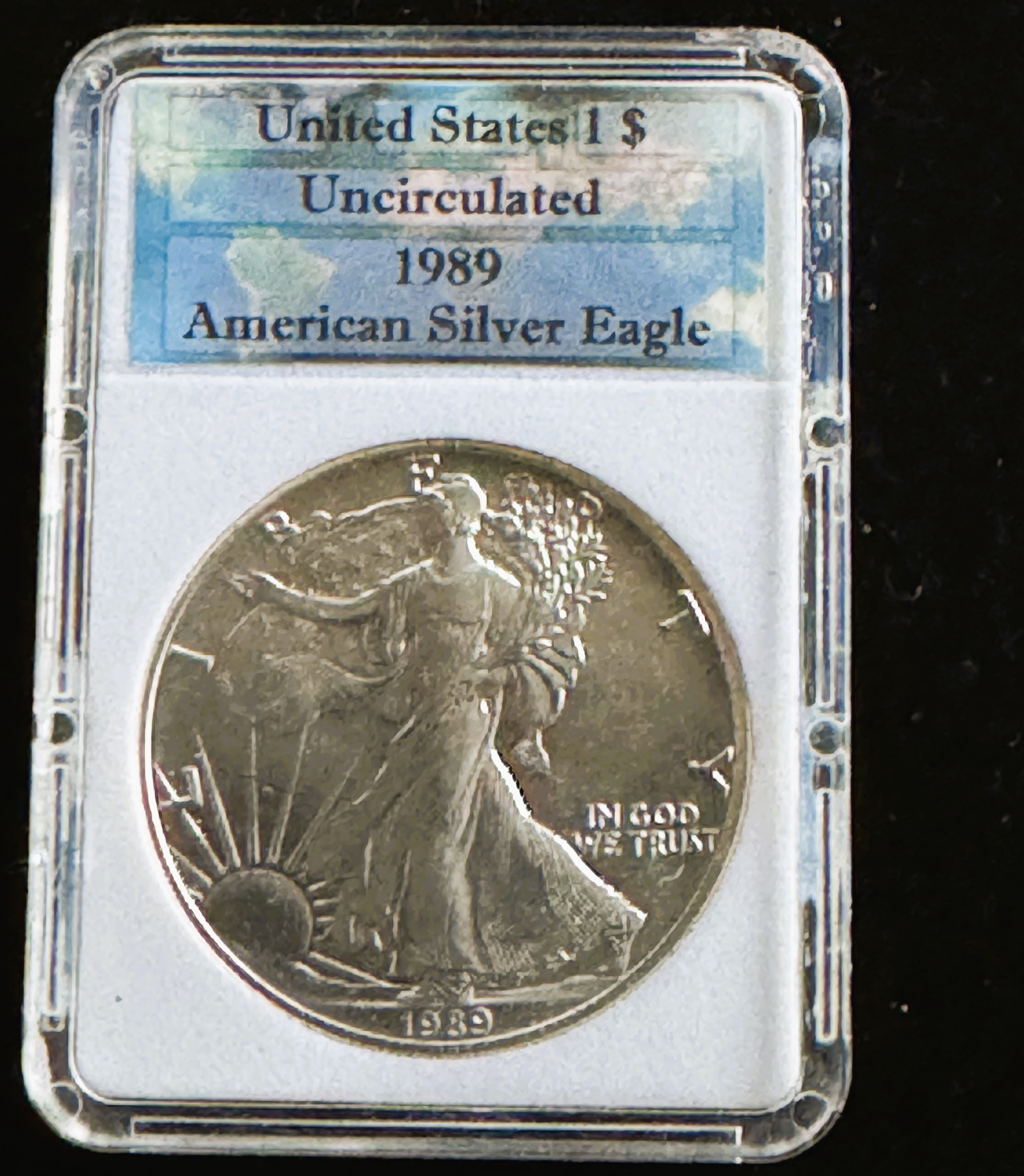 1989 UNCIRCULATED .999 SILVER AMERICAN EAGLE IN THE SLAB