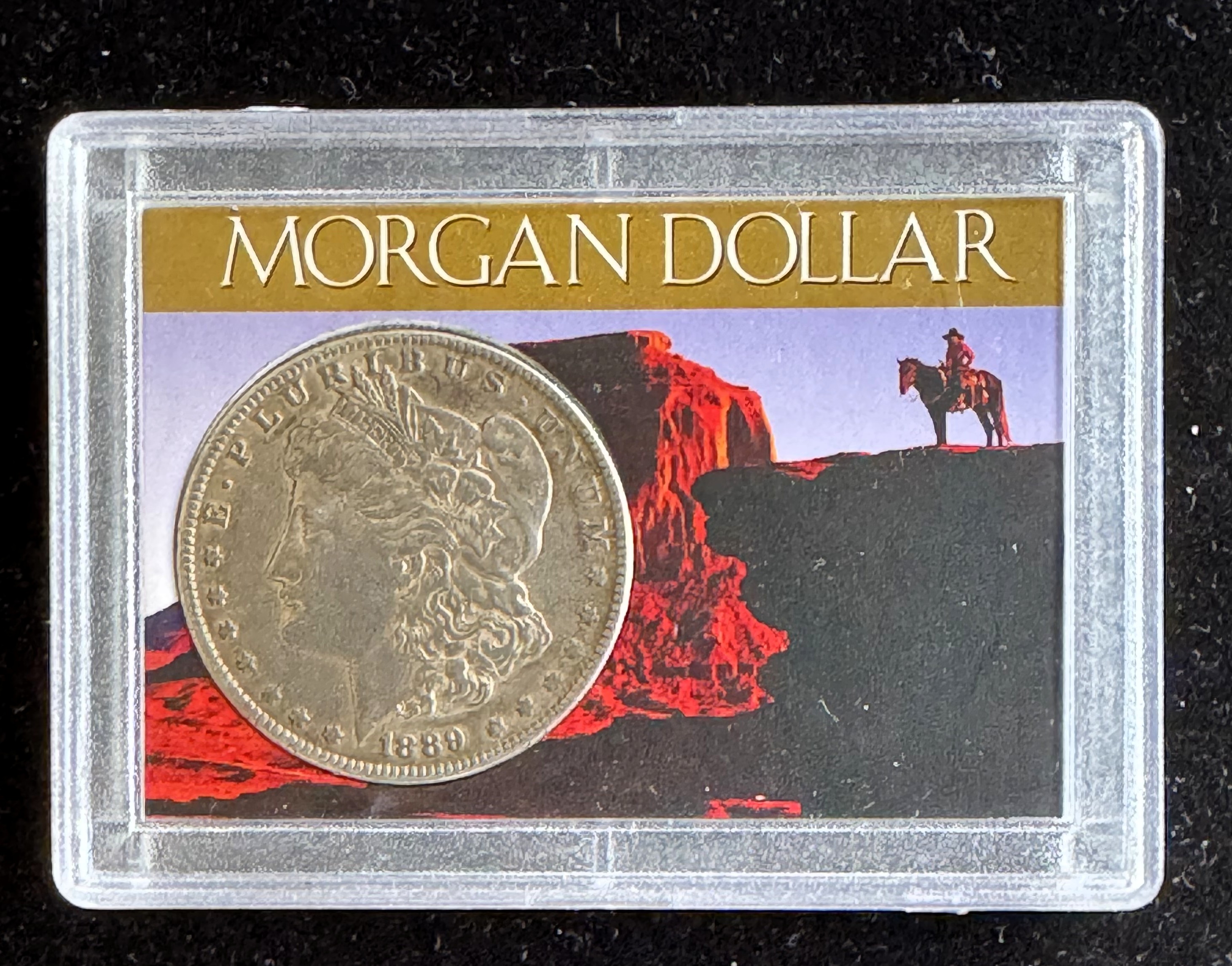 1889 MORGAN SILVER DOLLAR COIN IN A CASE