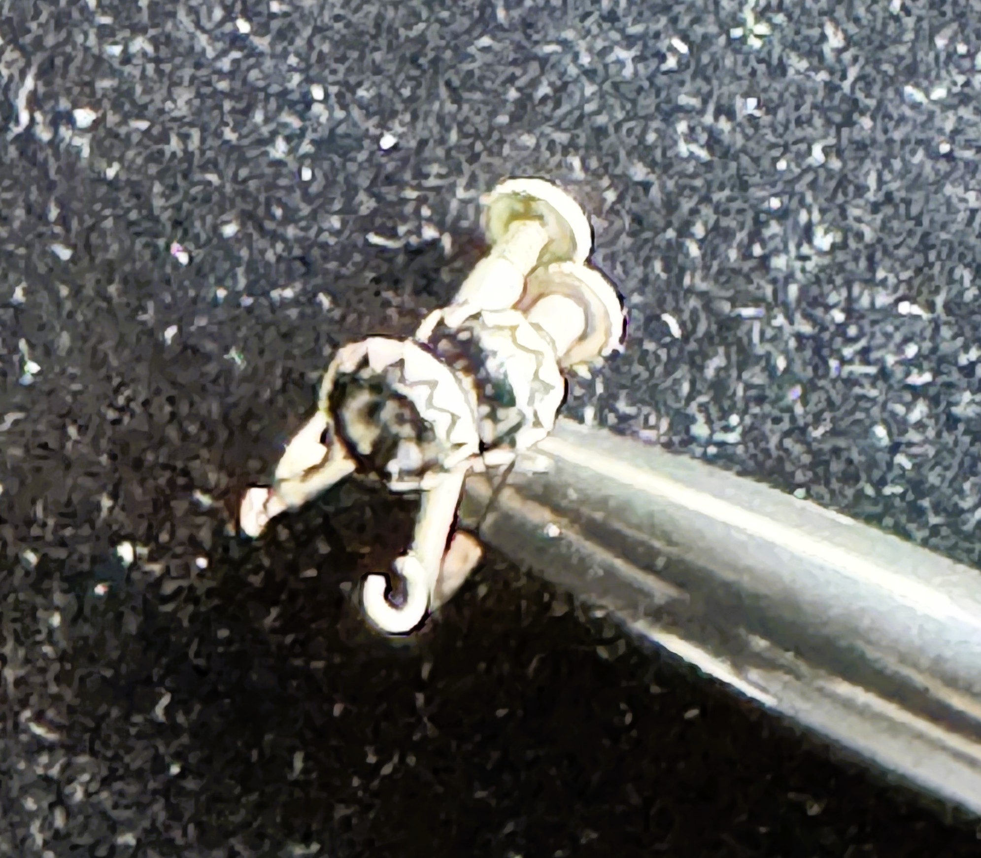 .925 STERLING SILVER ANTIQUE SCREW ON EARRINGS WITH NICE GARNET STONES