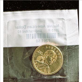 LITTLETON 2013-P NATIVE AMERICAN GOLDEN DOLLAR, UNC-60 INDIVIDUALLY SEALED PKG
