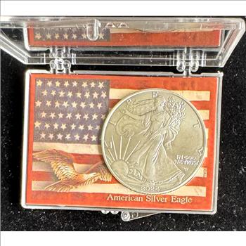 2024 1oz .999 FINE AMERICAN SILVER EAGLE $1 DOLLAR, UNCIRCULATED COIN IN A CASE