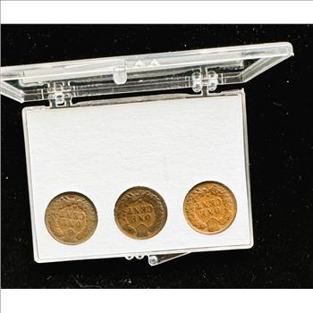 THREE LITTLE INDIANS SET, DATES 1896, 1897, 1898, ALL QUALITY COINS IN A Case