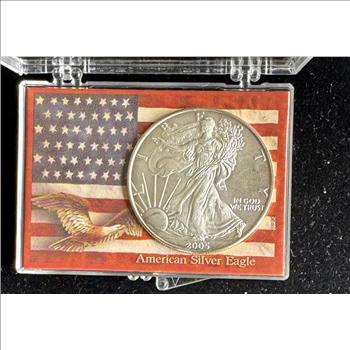 2005 .999 1oz FINE AMERICAN SILVER EAGLE $1 DOLLAR, BU COIN IN A CASE