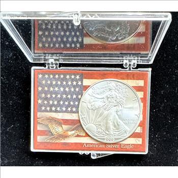 2006 1oz .999 SILVER AMERICAN EAGLE $1 DOLLAR COIN, UNBLEMISHED UNC GEM IN A CASE