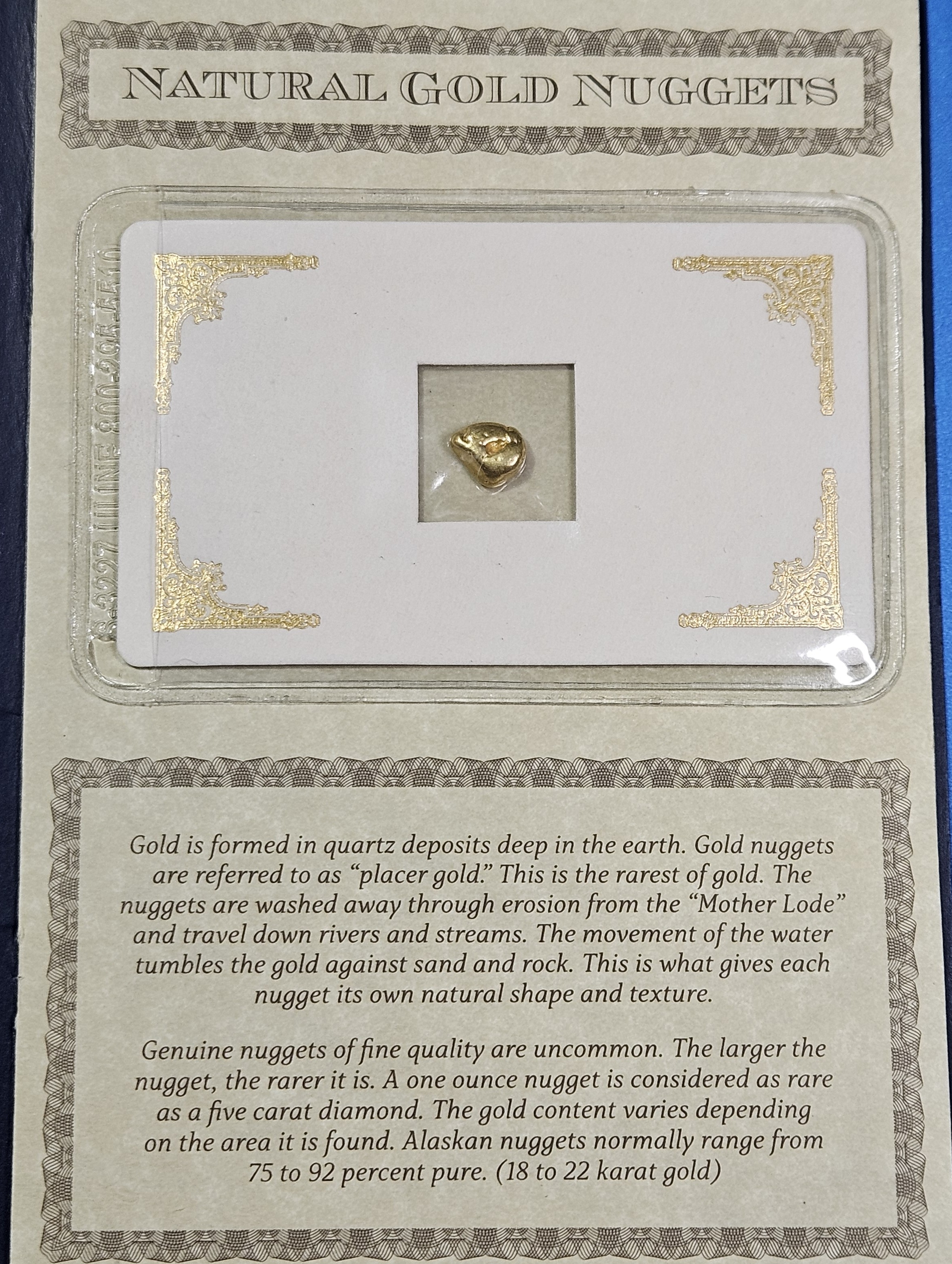 1.55 gram Natural Alaskan Gold Nugget in Presentation Folio w/ COA from Nome Alaska Mine