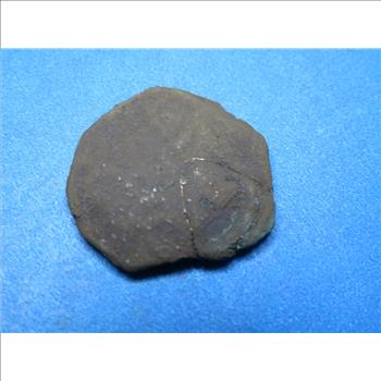 1600's Bronze Pirate Era Shipwreck Coin