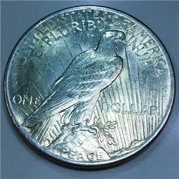 1925 Peace Silver Dollar Beautiful High Grade Coin