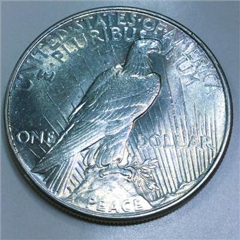 1934 Uncirculated Peace Silver Dollar Beautiful Coin Rare Date  