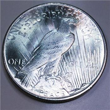 1925 Gem Uncirculated Peace Silver Dollar Beautiful Coin