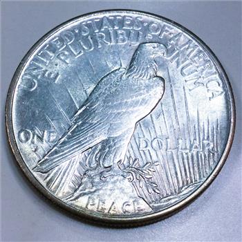 1921 Uncirculated Peace Silver Dollar Beautiful Coin Rare Date 