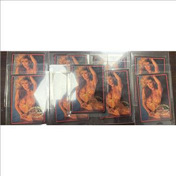 Lot of 9 1993 Bench Warmer Series II Cindy Sullivan Promo #3 of 4 Cards