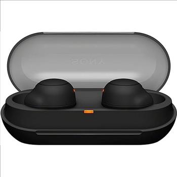 Sony True Wireless Headphones | Up to 20 Hours Battery | Charging Case | Voice A