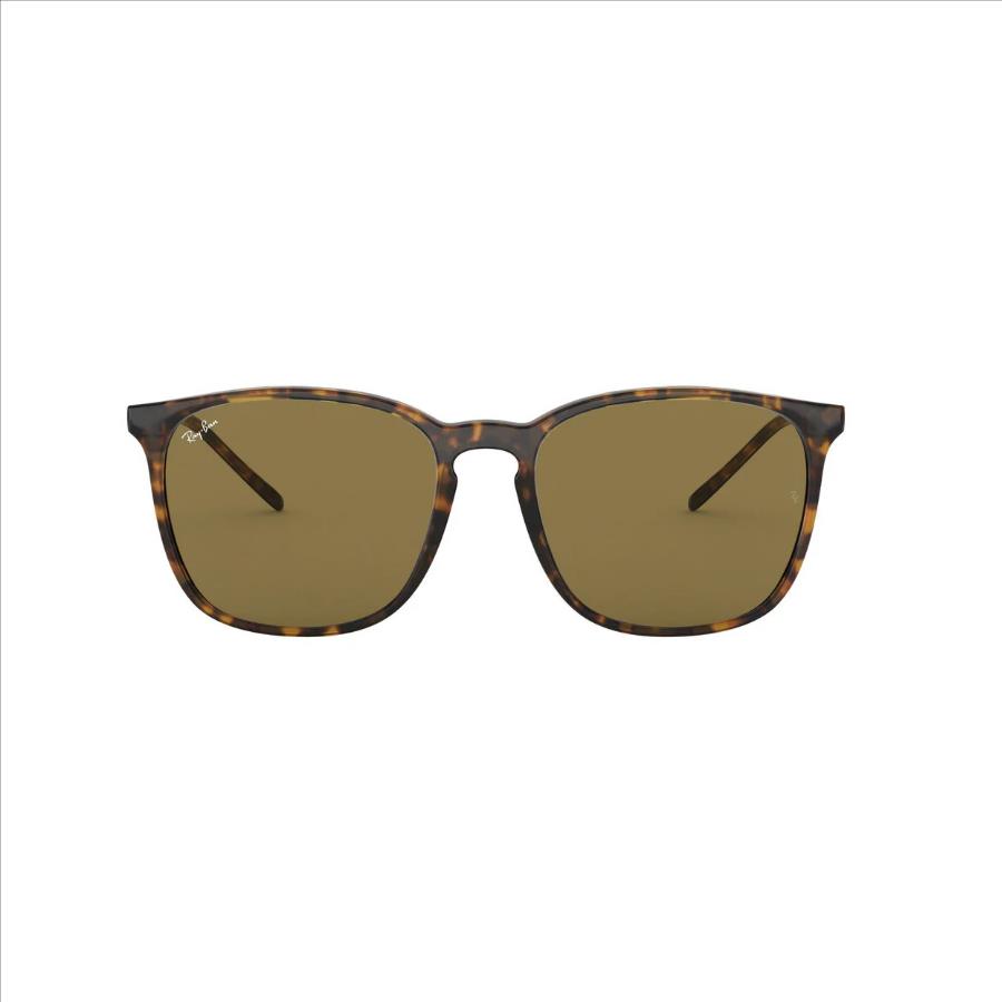 Ray-Ban 4387 Sunglasses