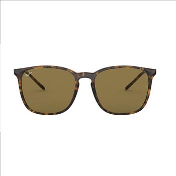 Ray-Ban 4387 Sunglasses