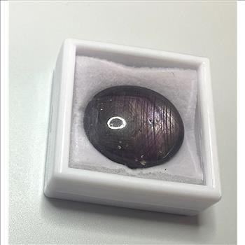 Natural Star Ruby Unmounted 71.4 Carat Oval Cabochon Gemstone