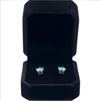 925 Sterling Silver 1.0ct Ocean Blue Moissanite Stud Earrings