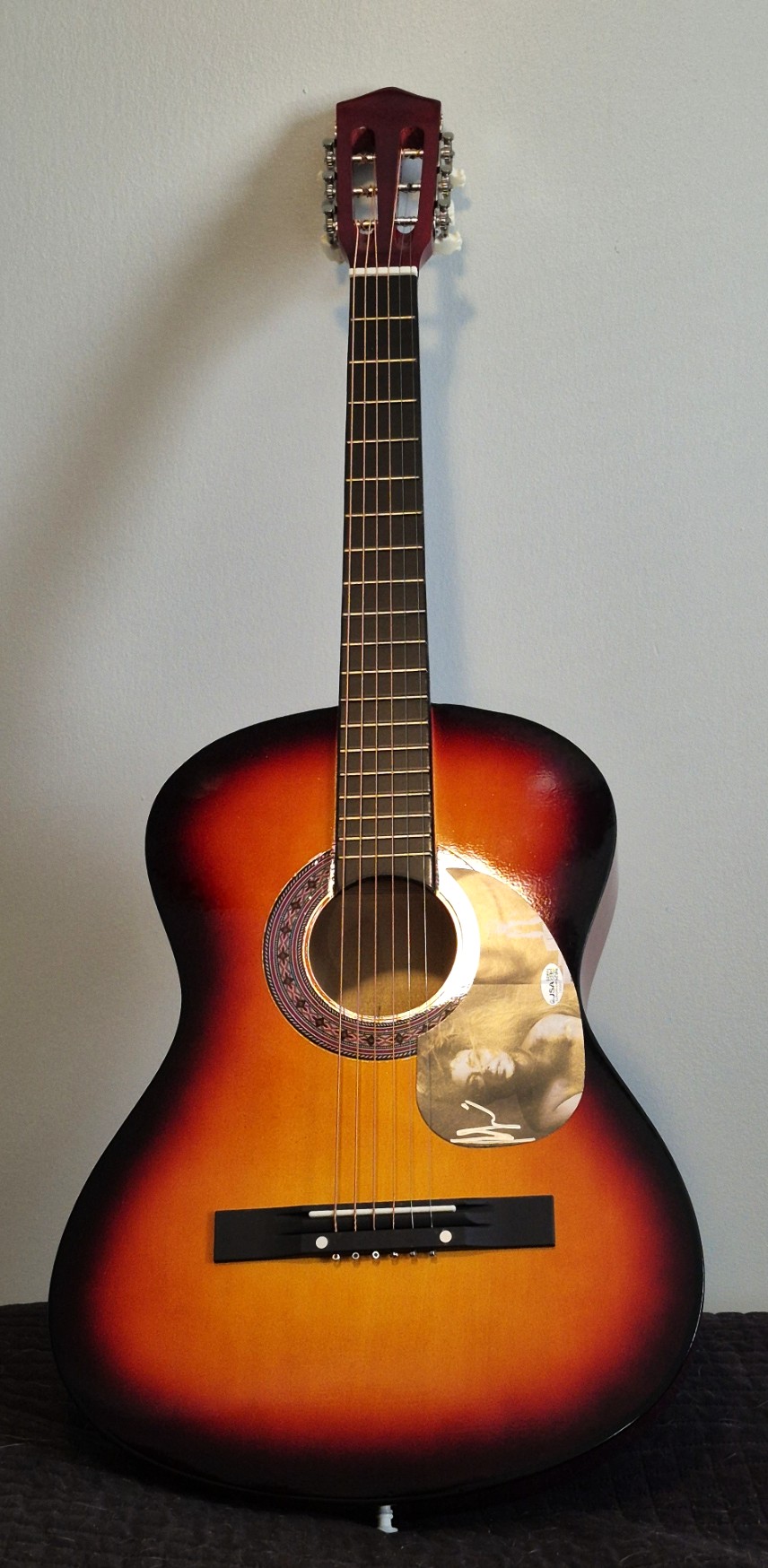 Shania Twain Country Music Star Autographed Acoustic Guitar JSA Authenticated