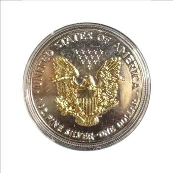 1993 Silver American Eagle Dollar with Gold Plated Detail
