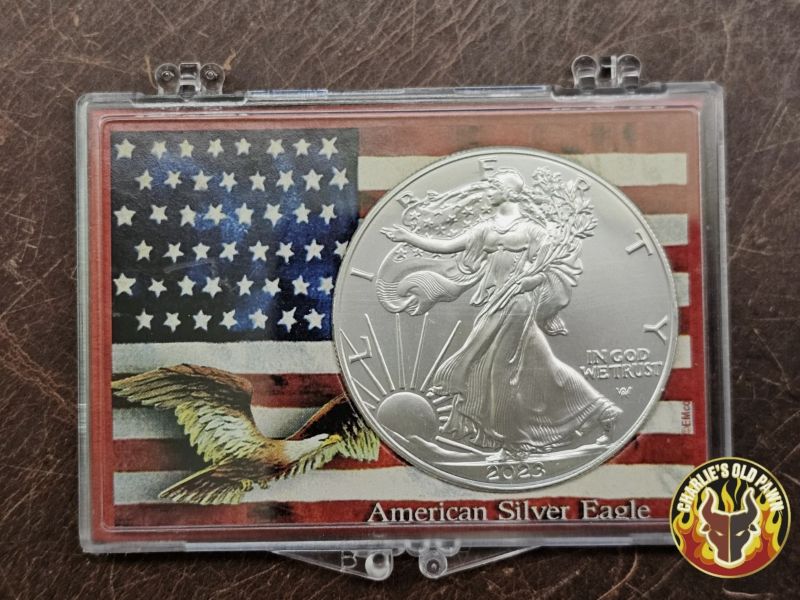 2023 1 oz .999 Silver American Eagle $1 Coin US Flag & Eagle Snap-Lock ...