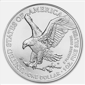 2025 1 oz American Silver Eagle w/Stars & Stripes Burst Card In TEP