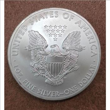 2012 1 oz American Silver Eagle - Abrasions #4