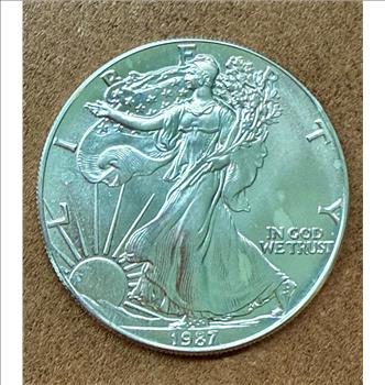 1987 1 oz American Silver Eagle Coin - Obverse Milk Spots