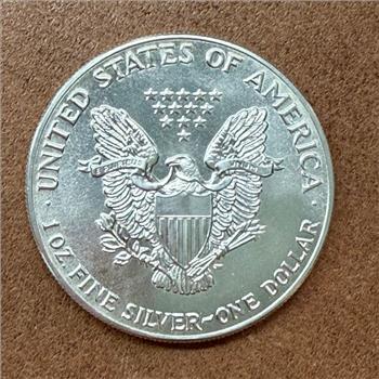 1987 1 oz American Silver Eagle Coin - Obverse Milk Spots