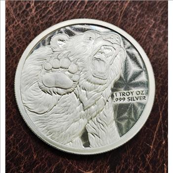 1 oz .999 Bull & Bear Market Silver Round - BU in Capsule