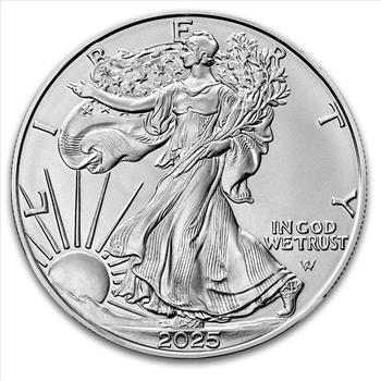 2025 1 oz American Silver Eagle - MintDirect Single Coin in TEP