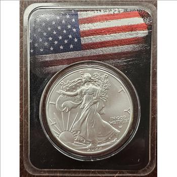 2022 1 oz Silver Eagle w/American Flag, Black Card, In TEP