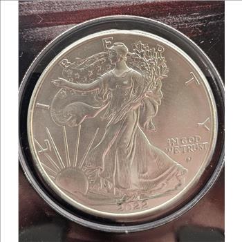 2022 1 oz Silver Eagle w/American Flag, Black Card, In TEP