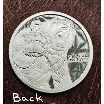 Bull and Bear Market 1 oz .999 Fine Silver Round - BU in Capsule